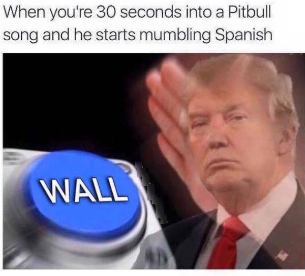 Funny Donald Trump Memes Pitbull