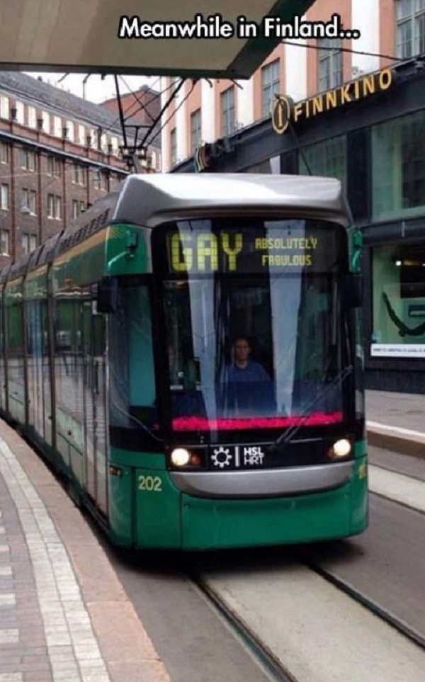 Gay Bus