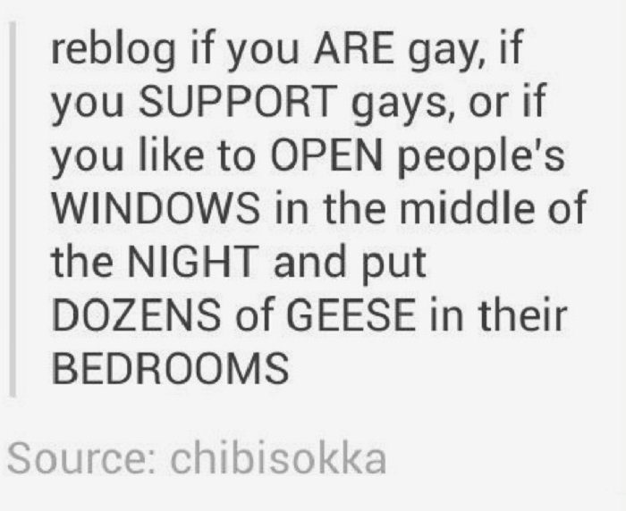 Gay Geese Reblog