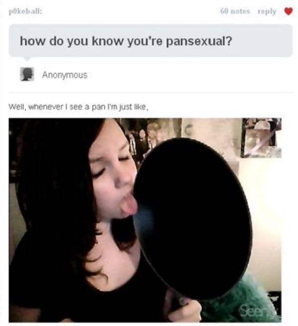 Pansexual Definition