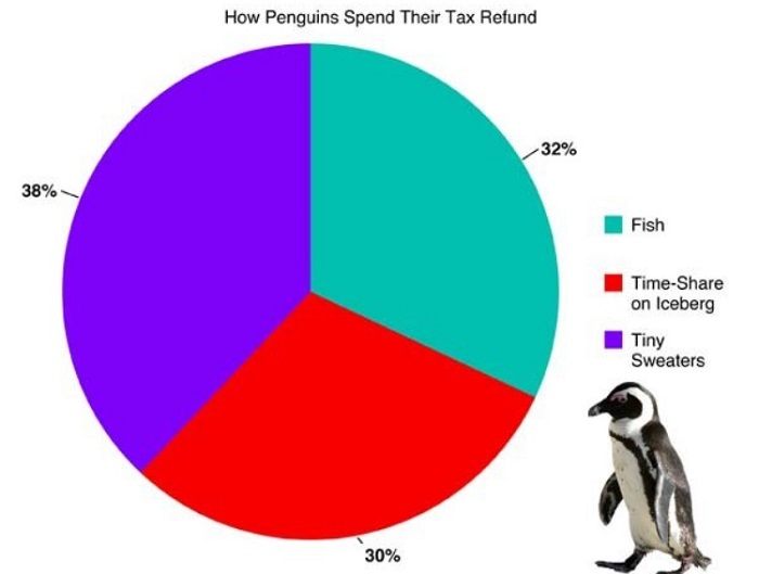 Penguin Tax Return