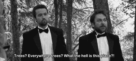Trees Everywhere