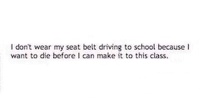 OG Seat Belt