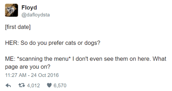 Cats Or Dogs