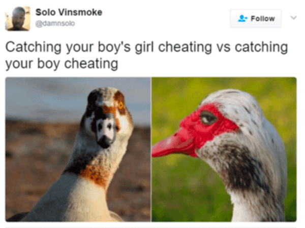 Cheater Catch