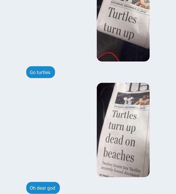 Dead Turtles