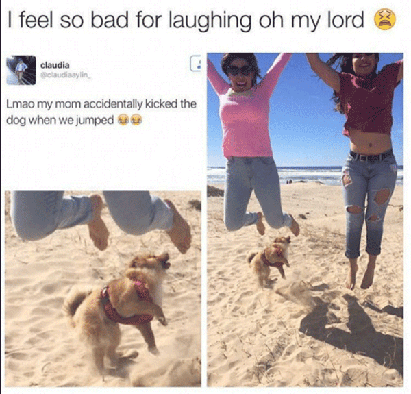 Dog Photo Gone Wrong