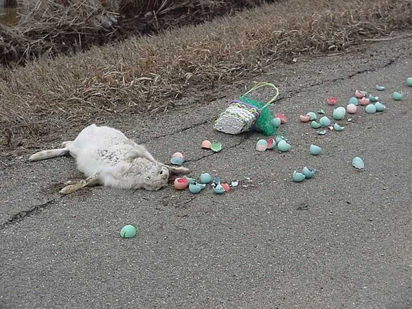Easter Bunny Rip