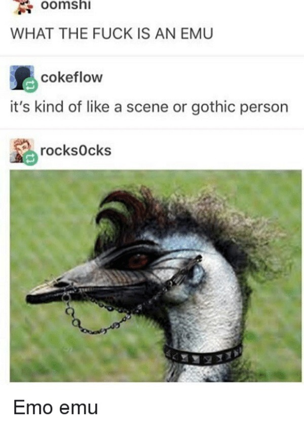 Emo Emu