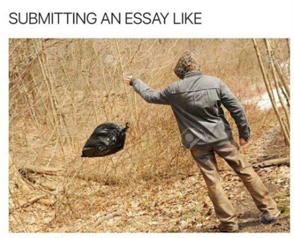 Essay Submission