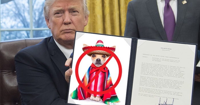 Trump Cancels Cinco De Mayo