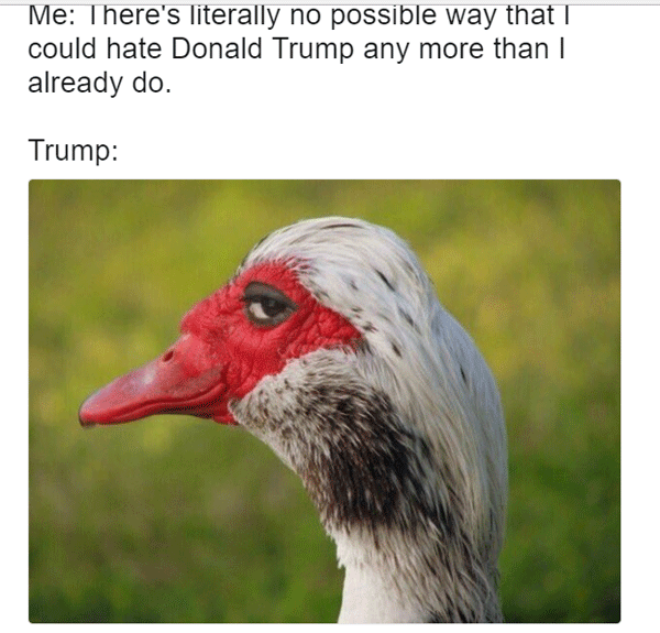 Trumphate