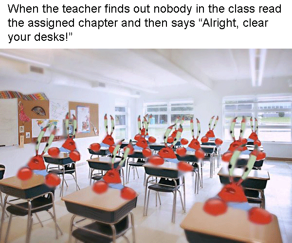 Whole Class