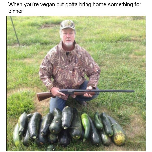 The Best Vegan Memes