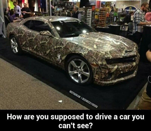 Invisibbe Car