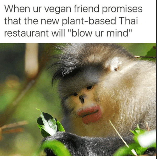 Hilarious Memes About Vegans
