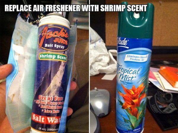 Shrimp Scent