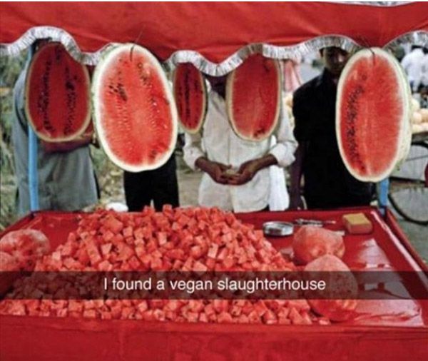 Vegan Slaughterhouse