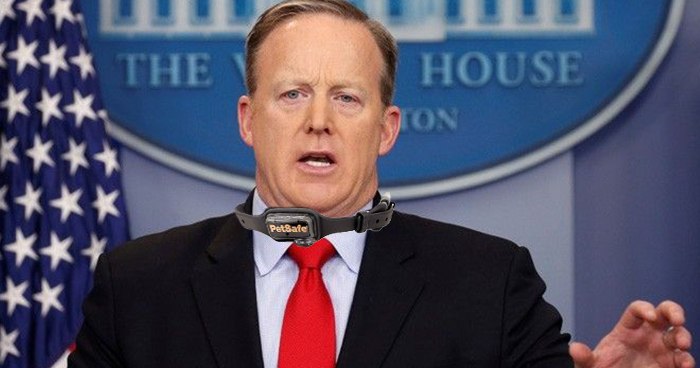 Spicer Shock Collar