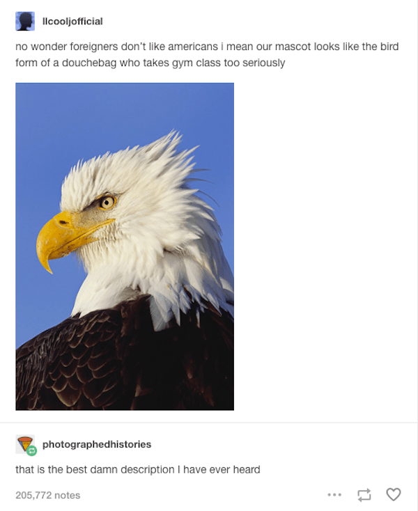 Eagle Description