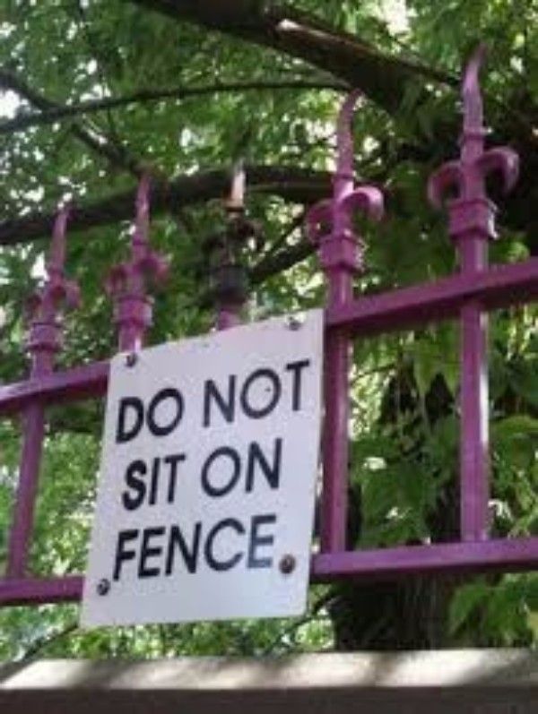 Sit On Fence