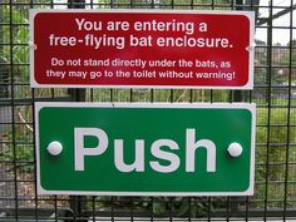 Bats Ridiculous Zoo Signs
