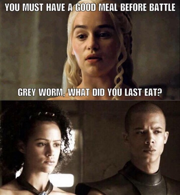 Grey Worm Meal