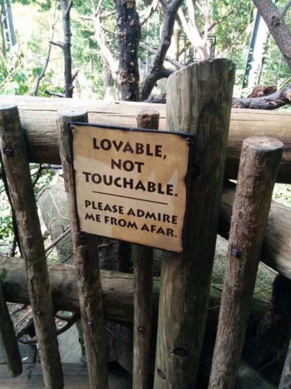 Not Touchable