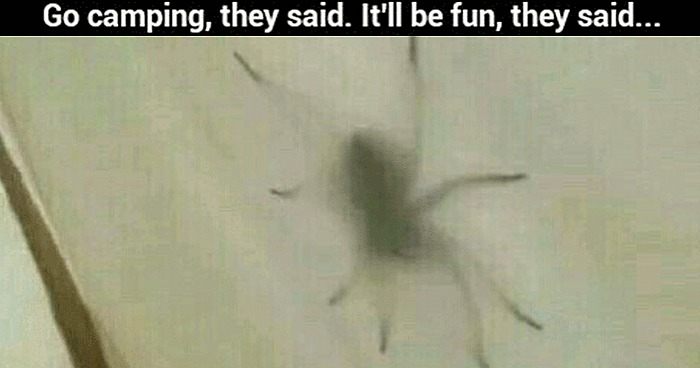 Og Spider