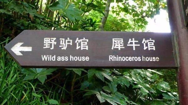 Wild Ass House