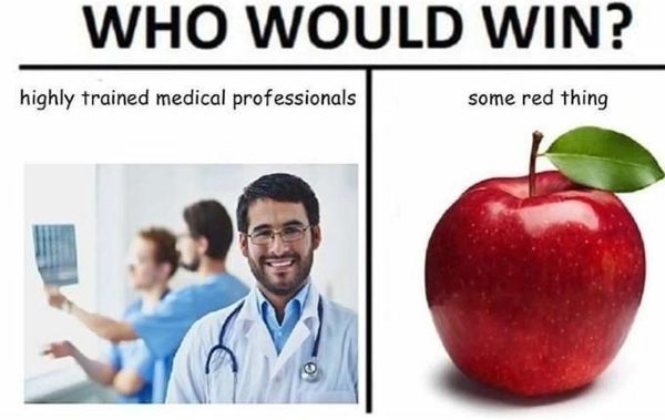 44 Who Would Win Memes Where We All Do Nothing But Lose