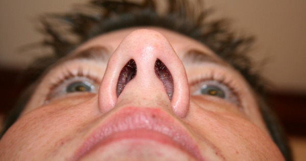 Nostrils