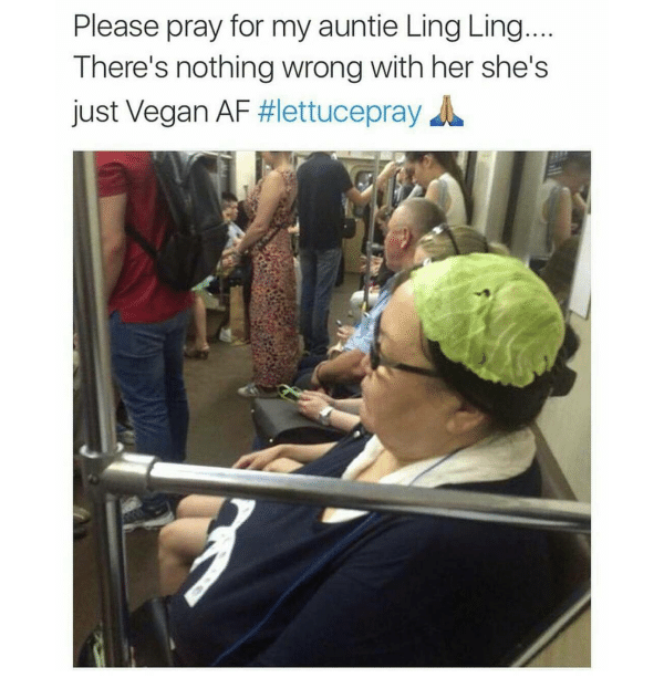 Vegan Aunt