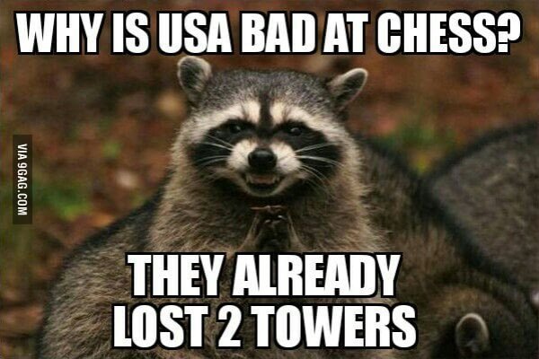 911 Raccoon