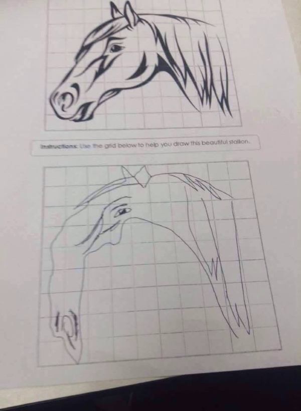 Badly Drawn Horse