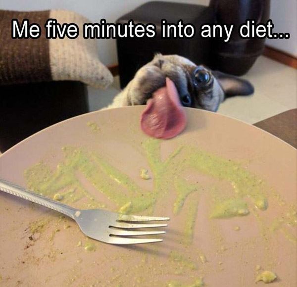 Diet Lickfail