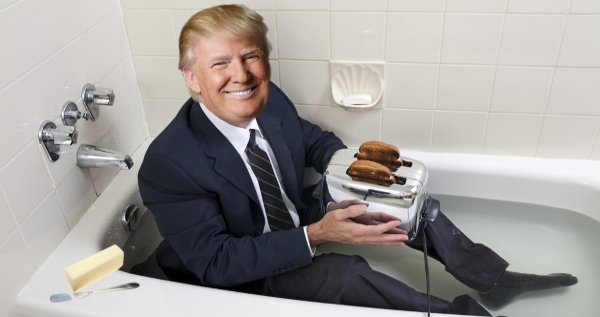 Trump Toast