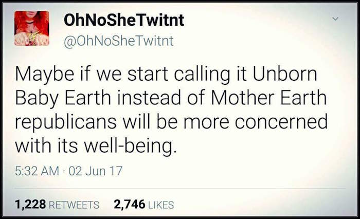 Unborn Baby Earth