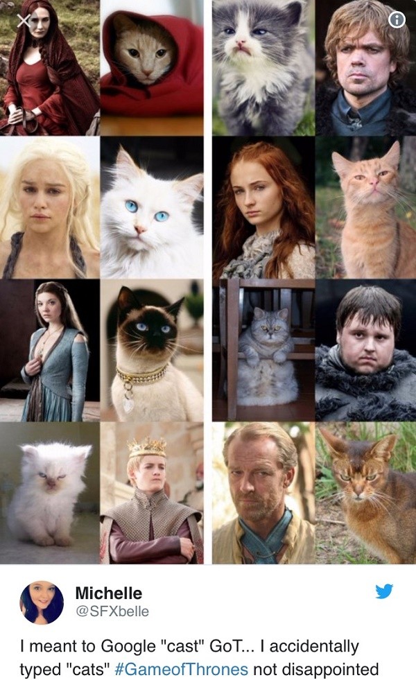 Game Of Thrones Cats