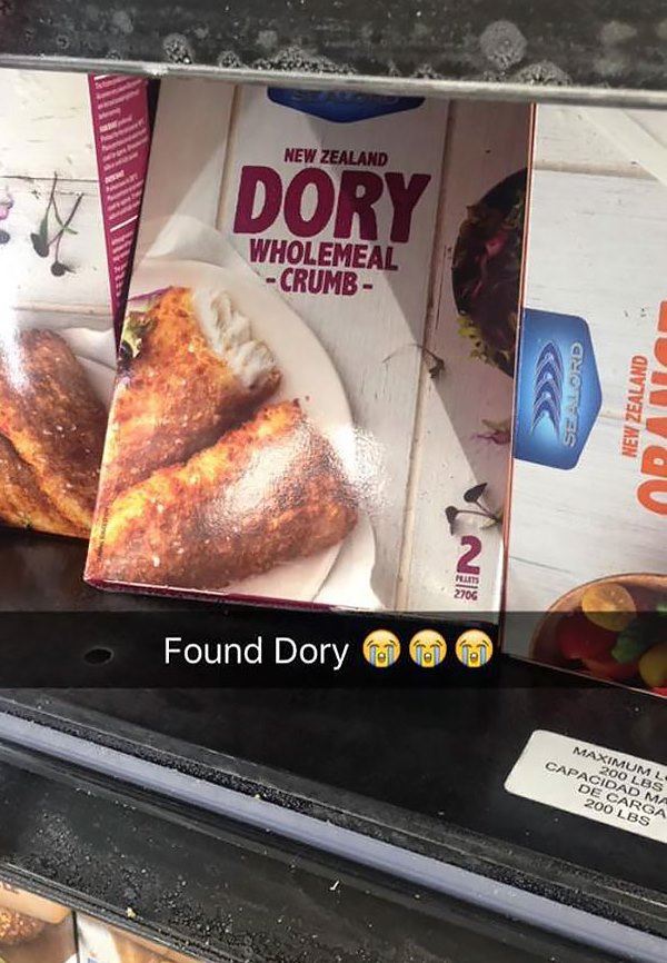 Goodbye Dory