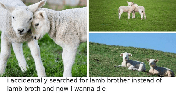 Lamb Brother