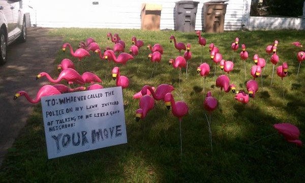 Lawn Flamingos