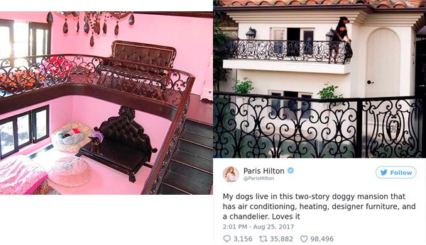 Paris Hilton Spoiled Pets