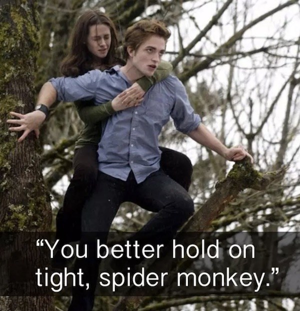 Spider Monkey