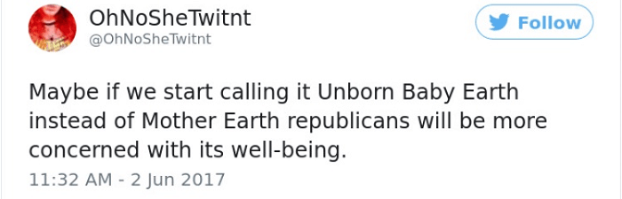 Unborn Baby Earth
